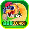 88sn22